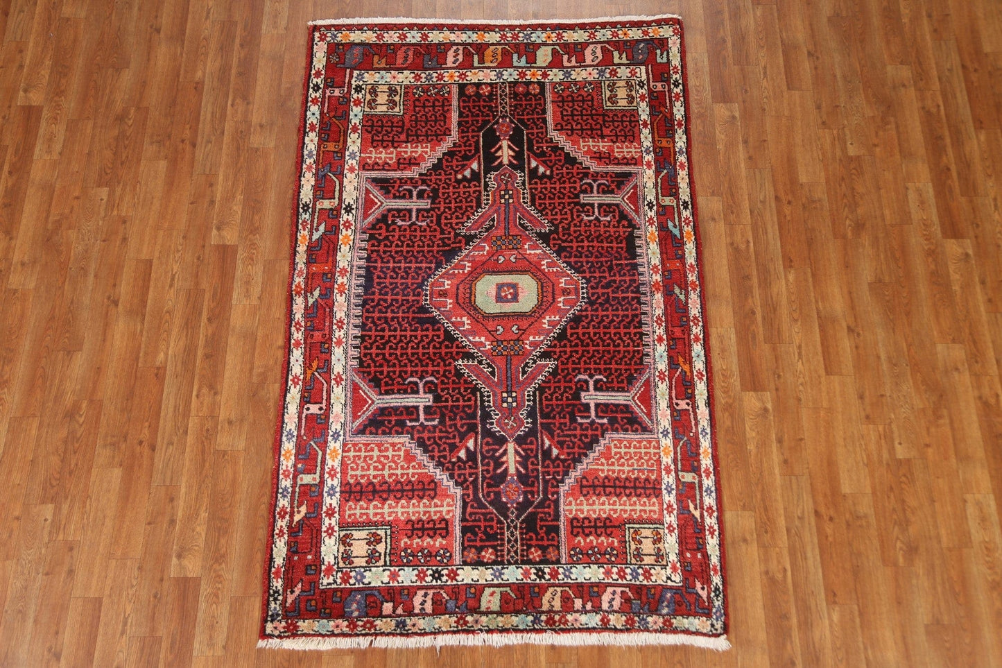 Geometric Hamedan Persian Area Rug 4x7