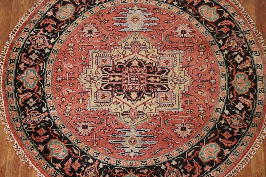 Round Heriz Serapi Area Rug 6x6