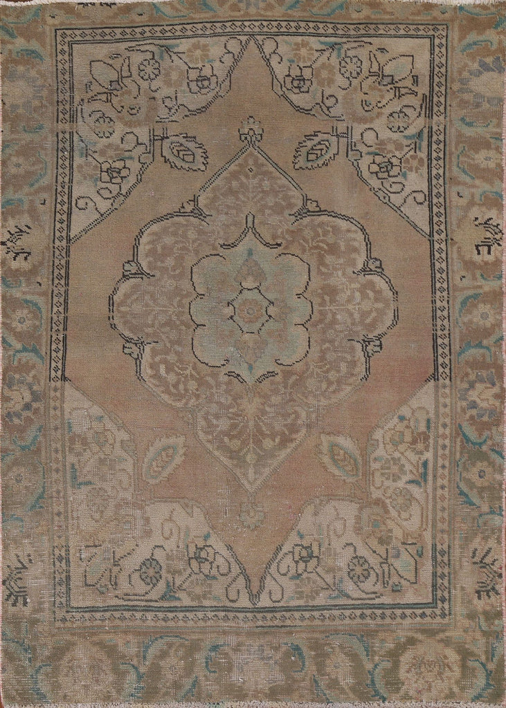 Tabriz Persian Area Rug 4x5