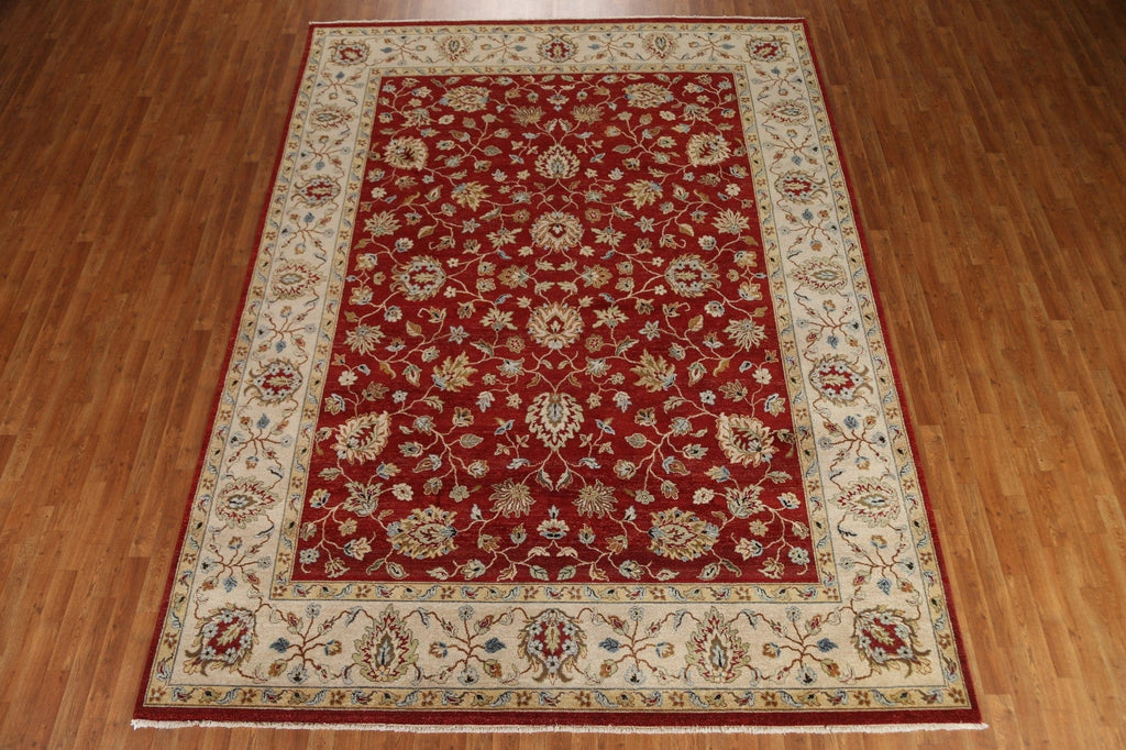 Vegetable Dye Chobi-Peshawar Oriental Area Rug 9x12