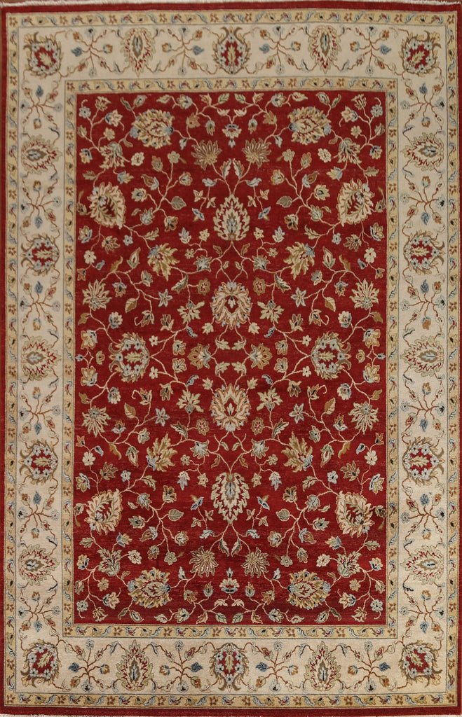 Vegetable Dye Chobi-Peshawar Oriental Area Rug 9x12