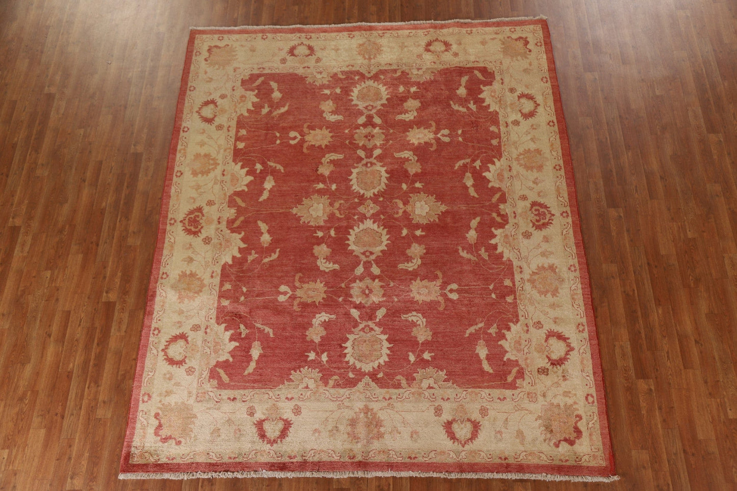 Chobi Peshawar Oriental Area Rug 8x10