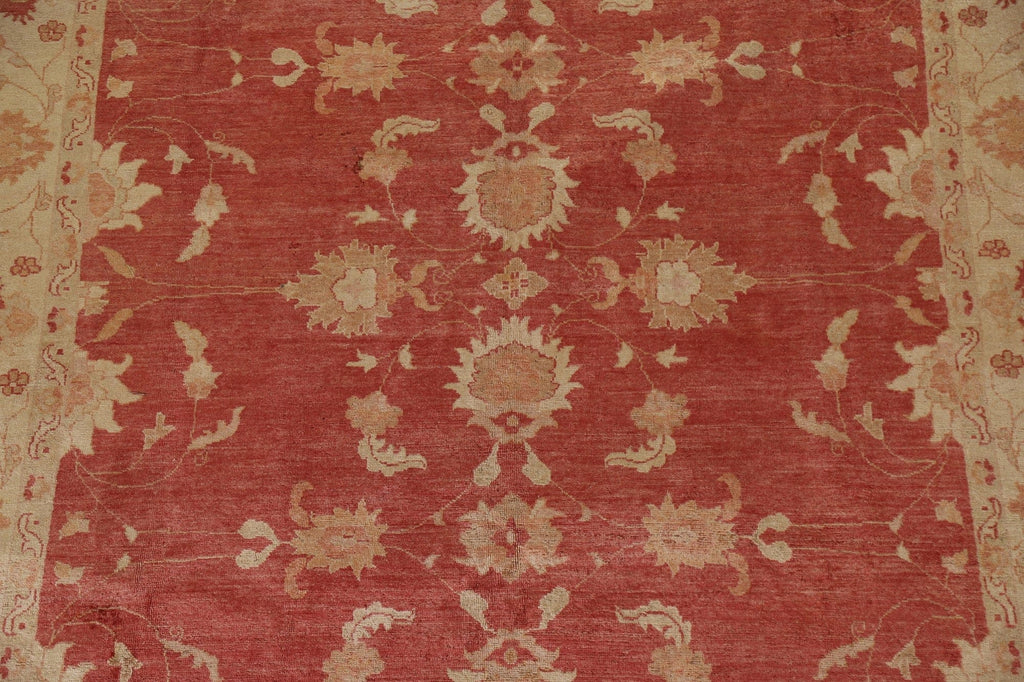 Chobi Peshawar Oriental Area Rug 8x10