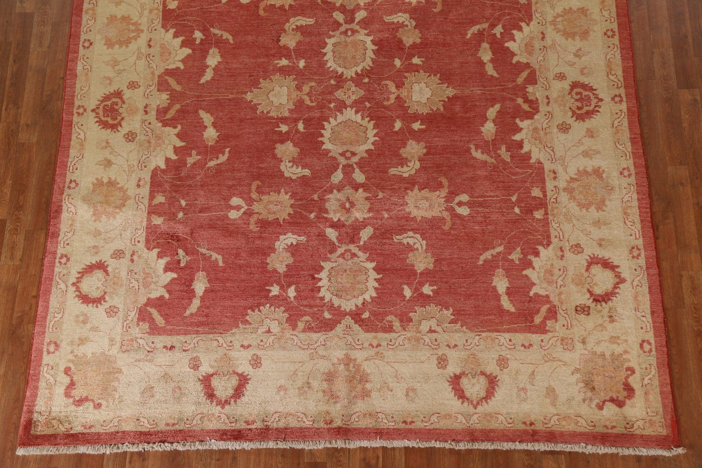 Chobi Peshawar Oriental Area Rug 8x10