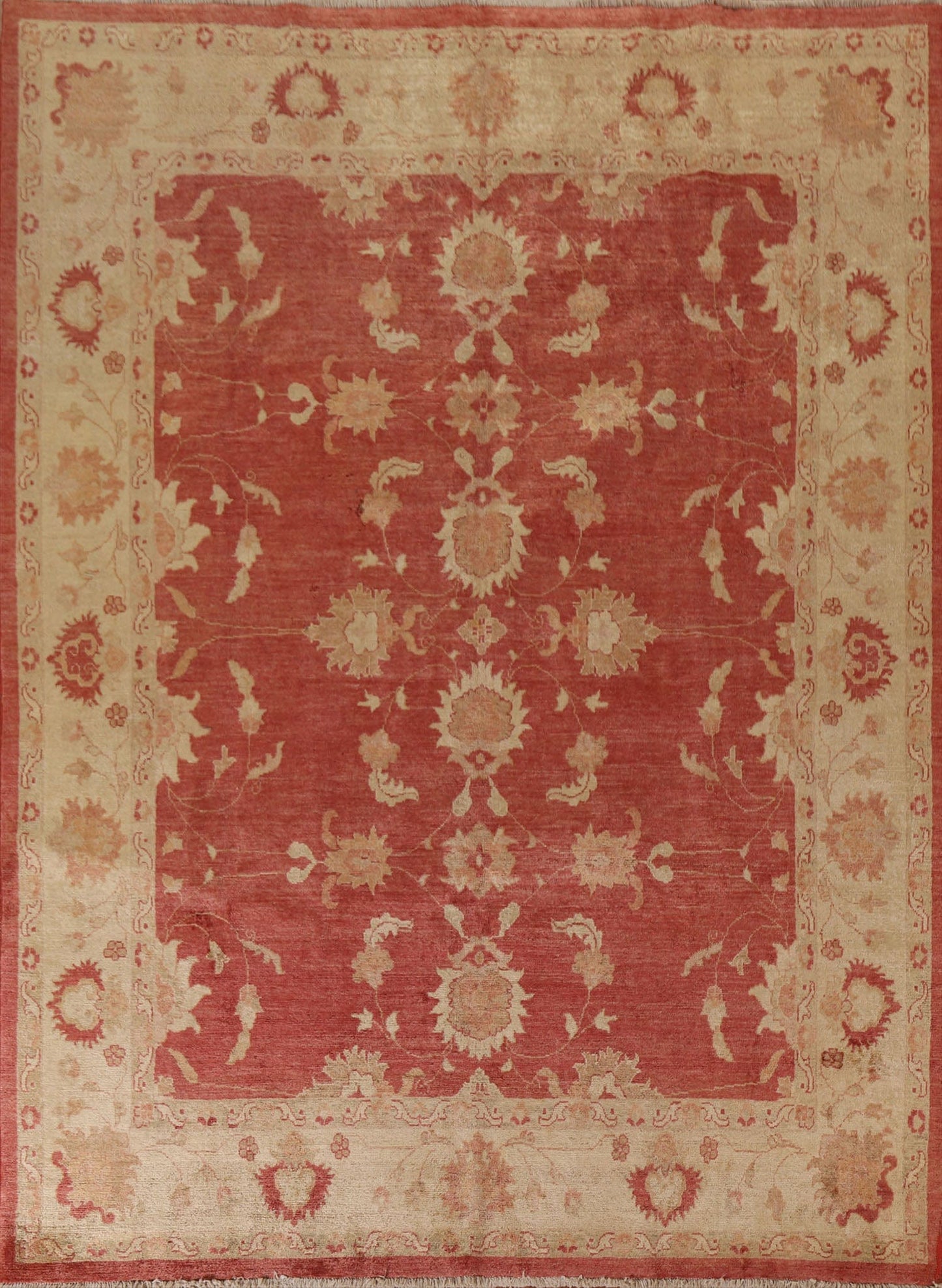 Chobi Peshawar Oriental Area Rug 8x10