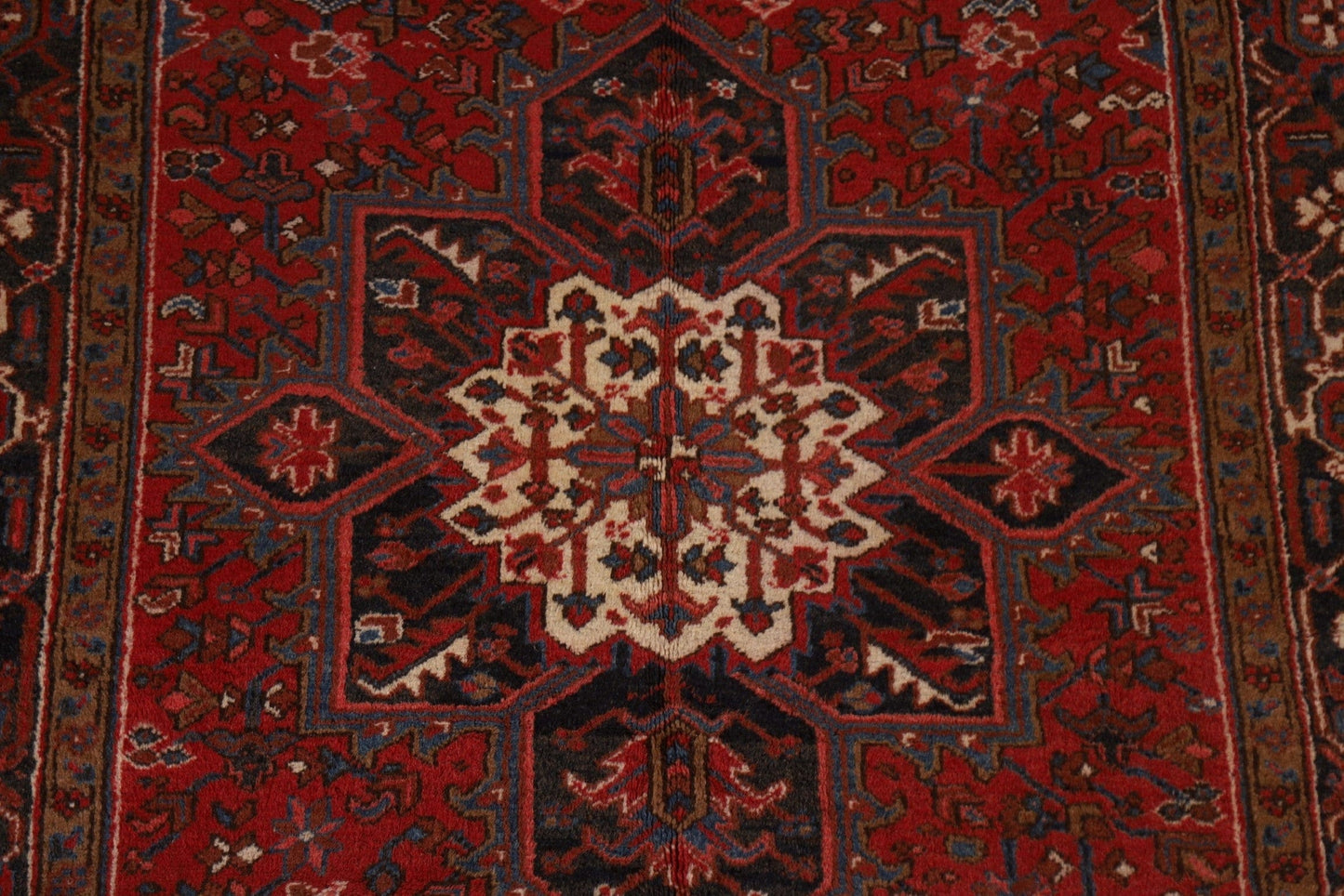 Geometric Wool Heriz Persian Area Rug 6x9