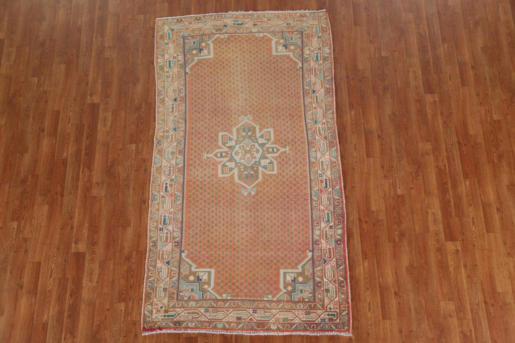 Geometric Botemir Persian Area Rug 4x7