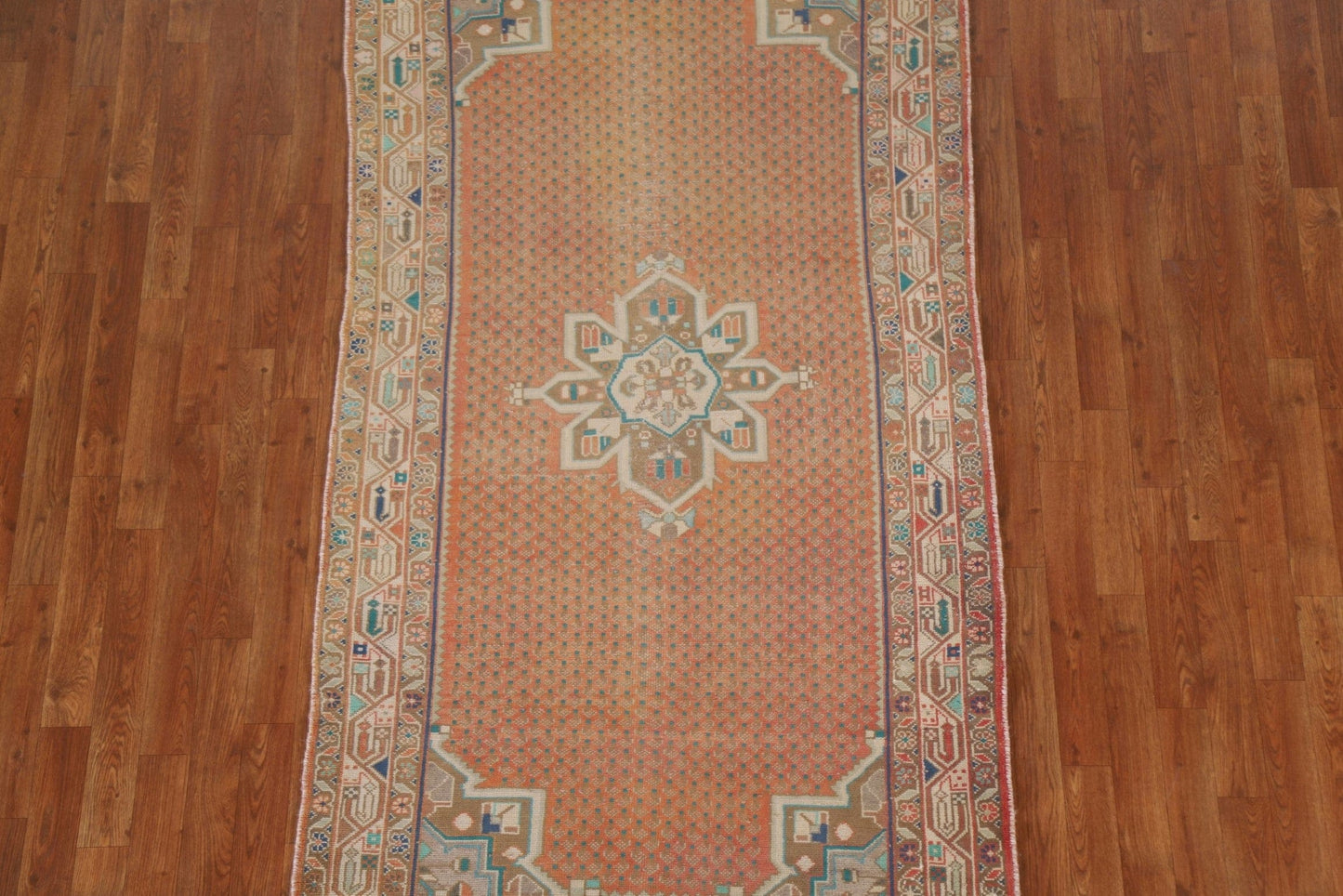 Geometric Botemir Persian Area Rug 4x7