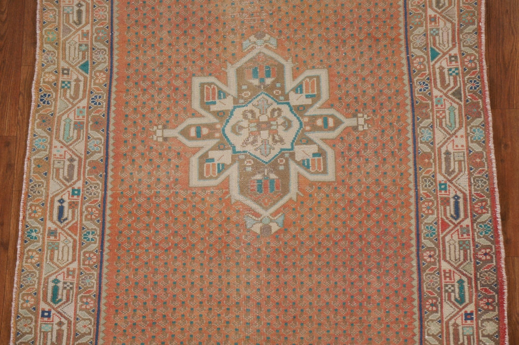 Geometric Botemir Persian Area Rug 4x7