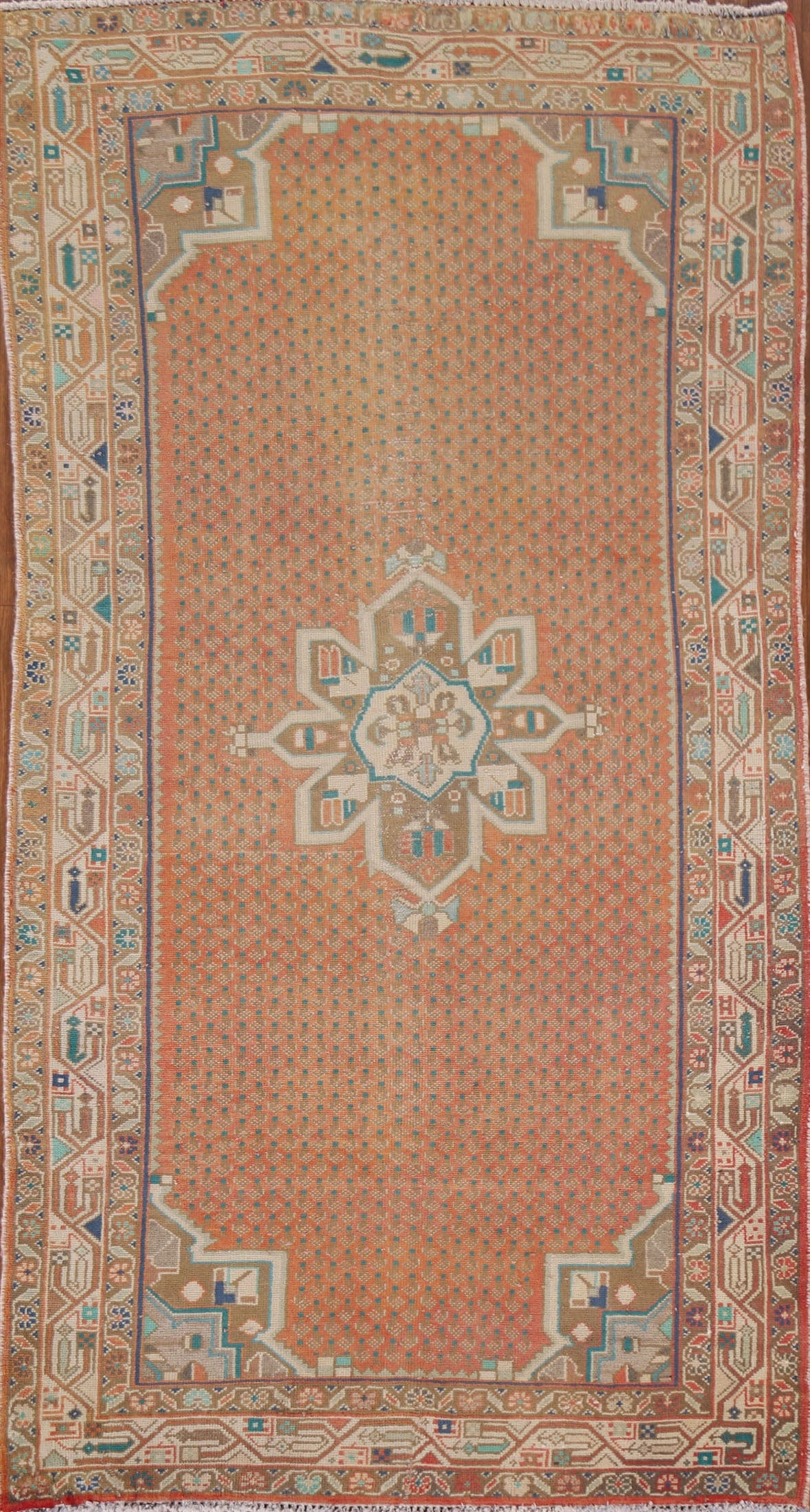 Geometric Botemir Persian Area Rug 4x7