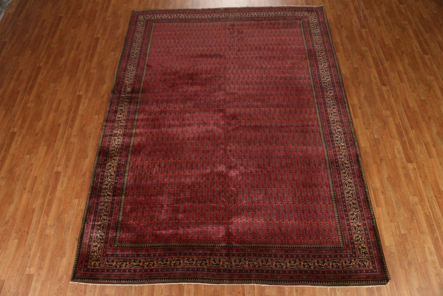 All-Over Boteh Botemir Persian Area Rug 9x12