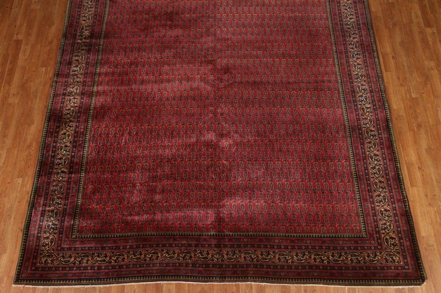 All-Over Boteh Botemir Persian Area Rug 9x12