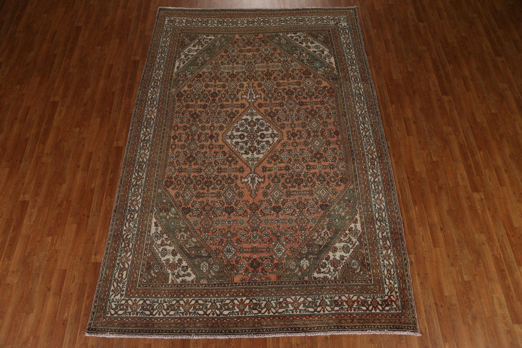 Hamedan Persian Area Rug 7x11