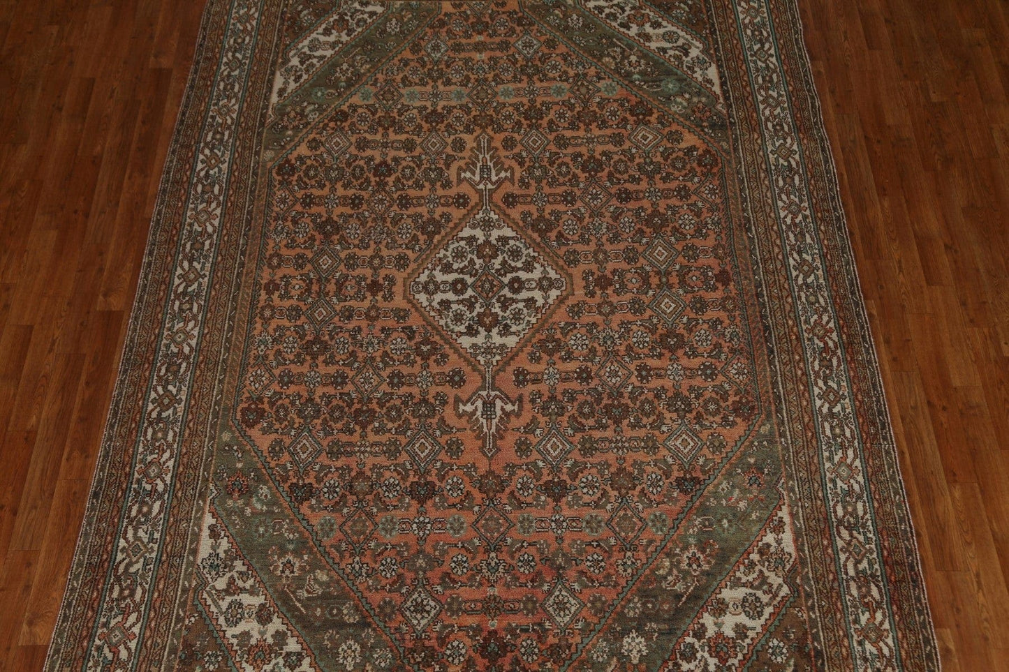 Hamedan Persian Area Rug 7x11