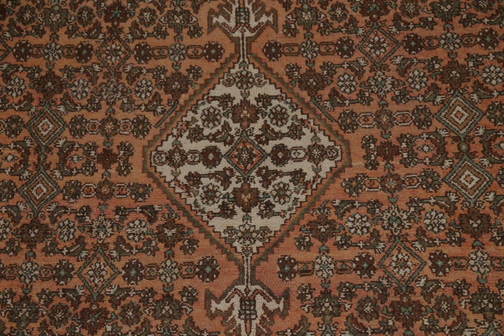 Hamedan Persian Area Rug 7x11