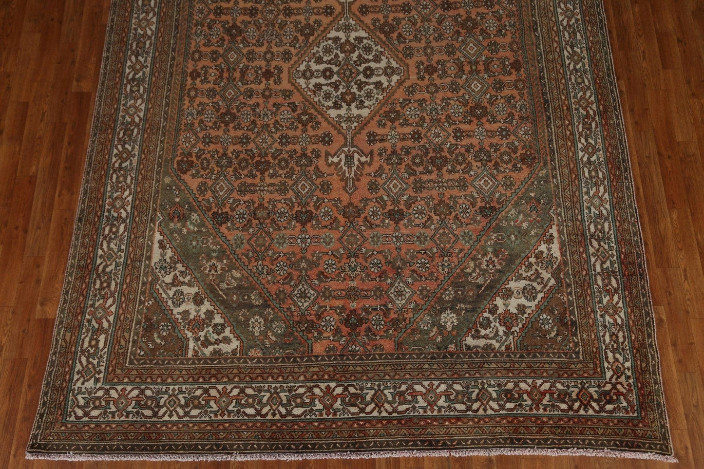 Hamedan Persian Area Rug 7x11