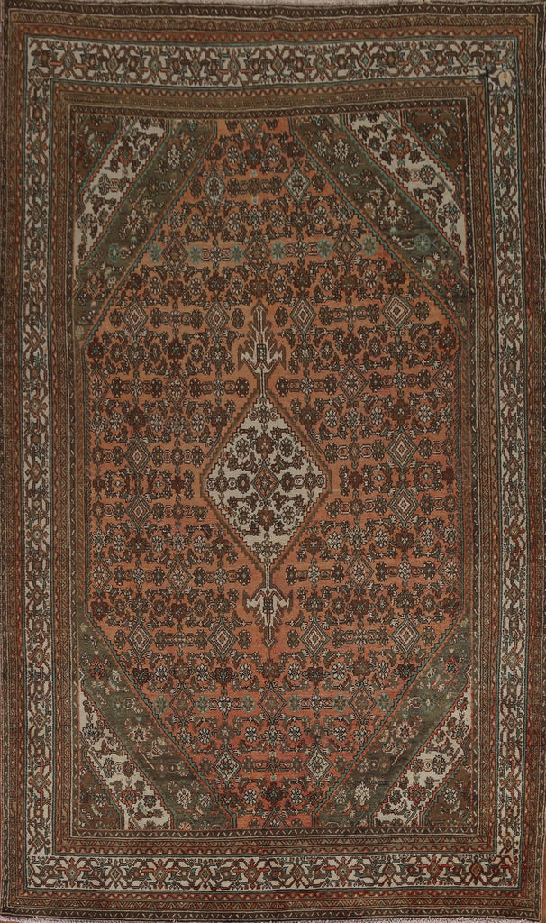 Hamedan Persian Area Rug 7x11