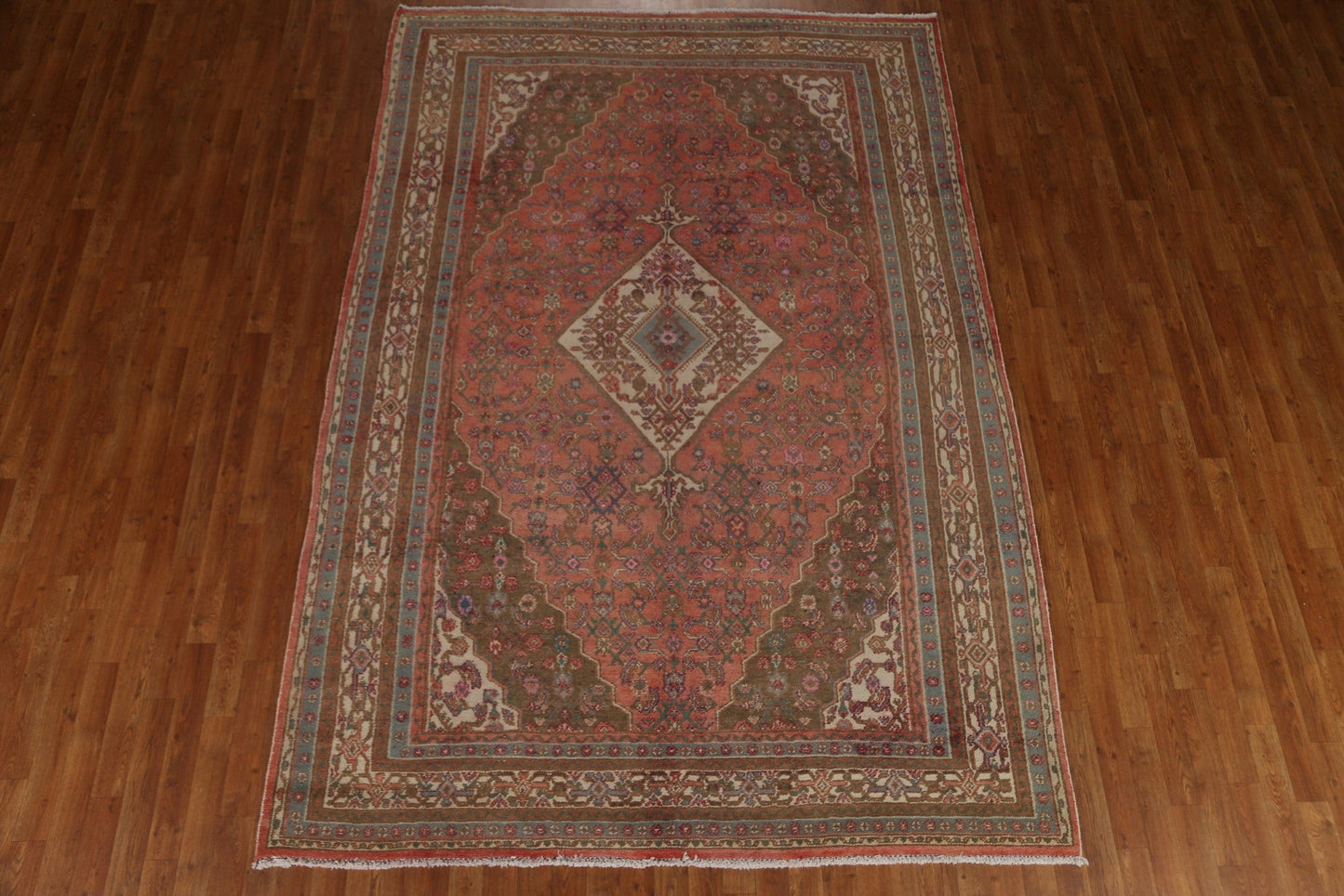 Hamedan Persian Area Rug 7x10