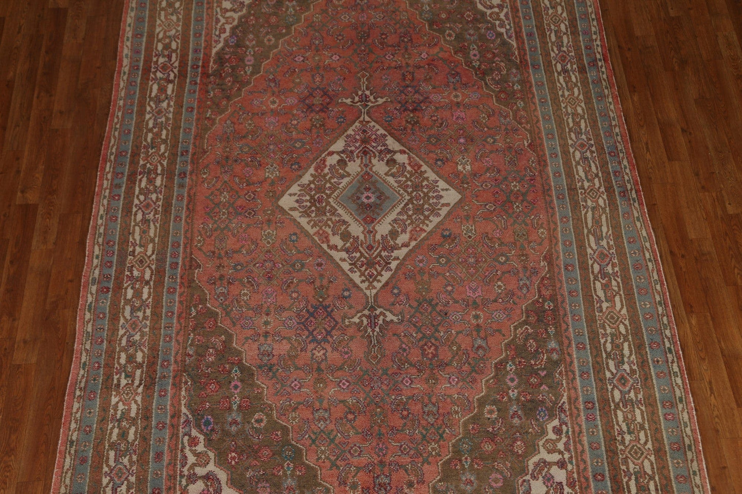 Hamedan Persian Area Rug 7x10