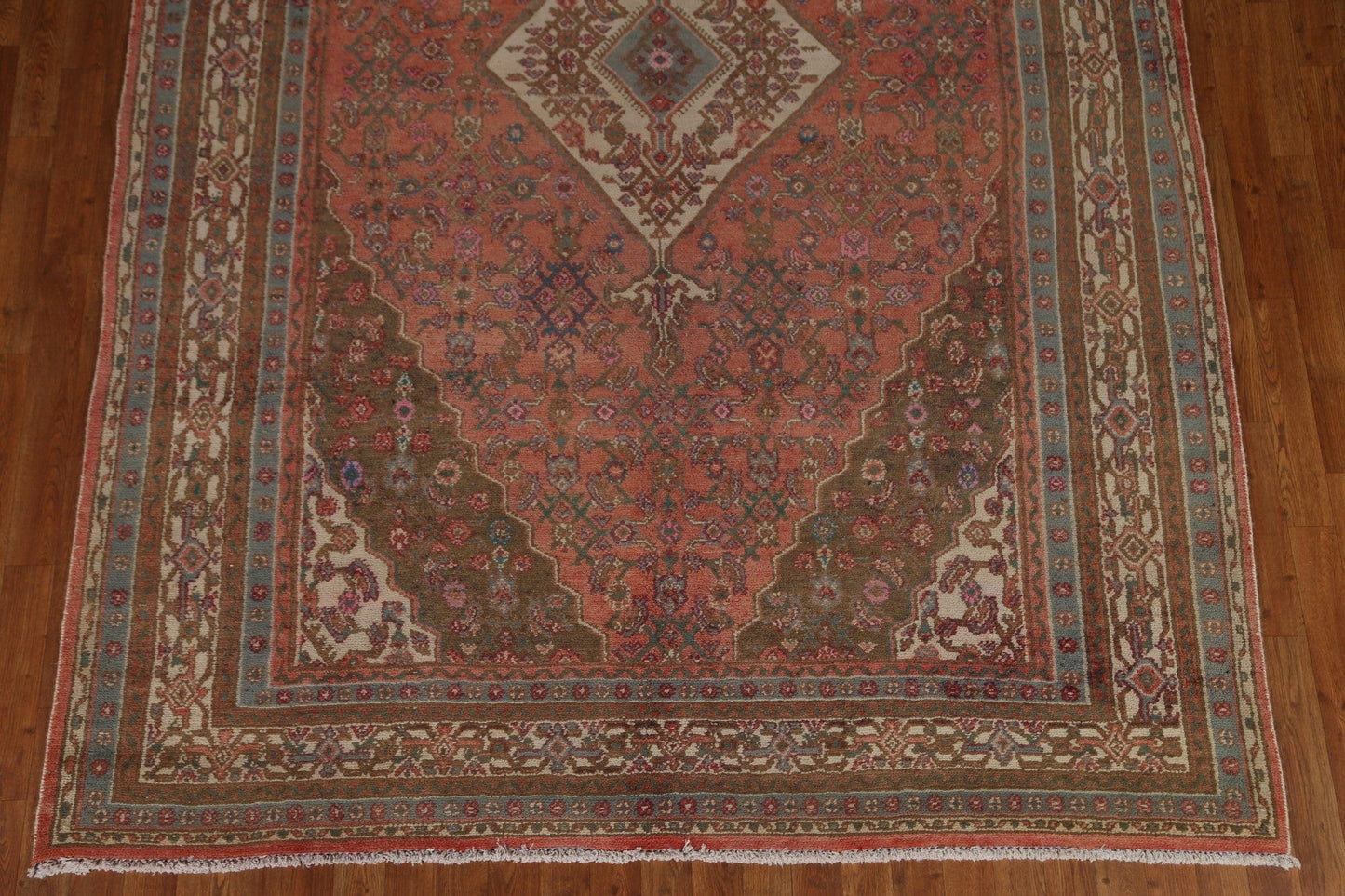 Hamedan Persian Area Rug 7x10