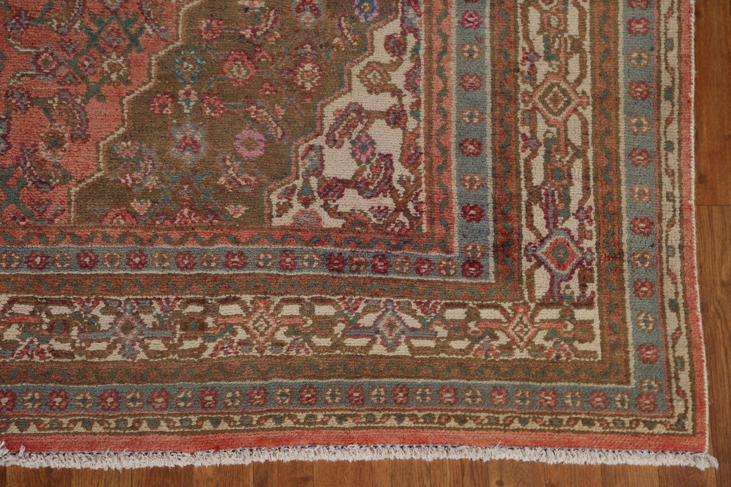 Hamedan Persian Area Rug 7x10