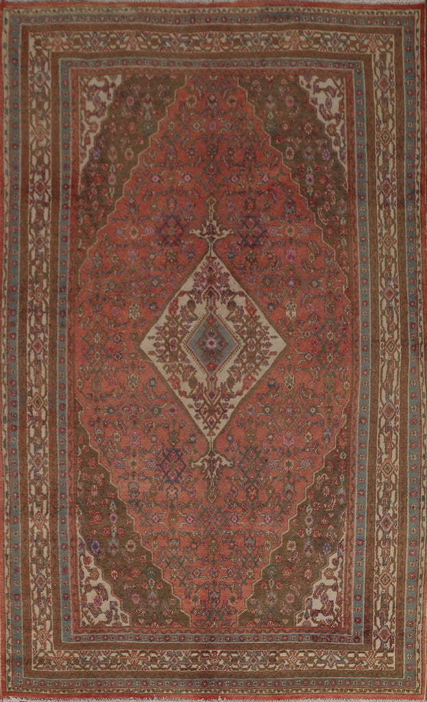 Hamedan Persian Area Rug 7x10