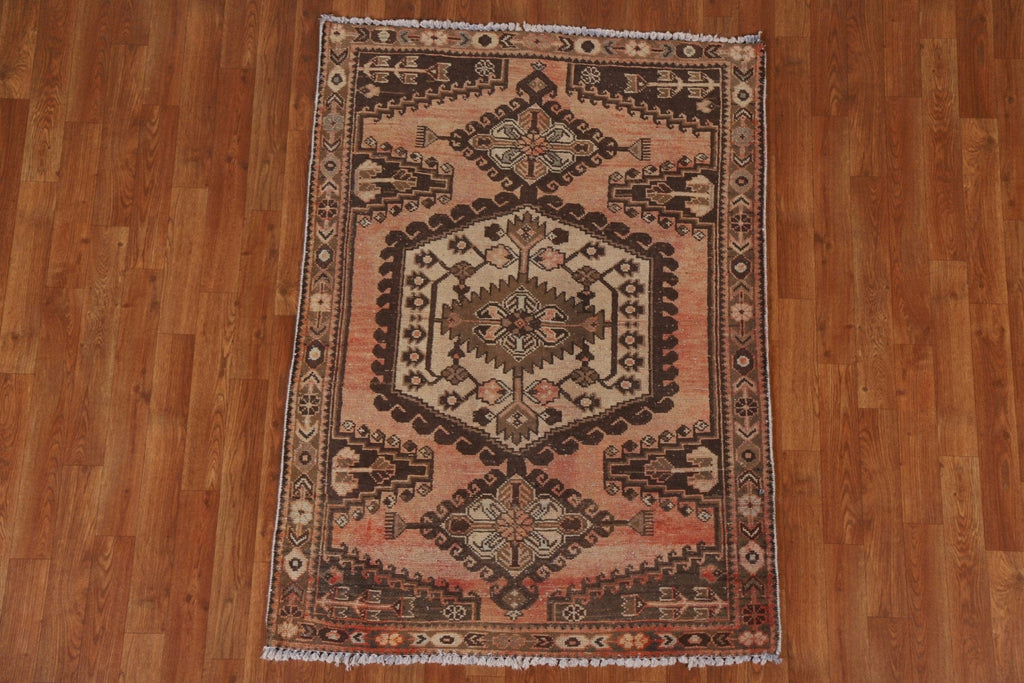 Geometric Hamedan Persian Area Rug 3x5