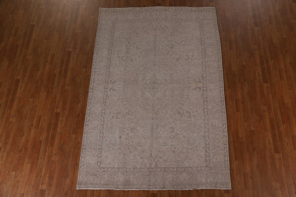 Distressed Muted Persian Area Rug 6x9