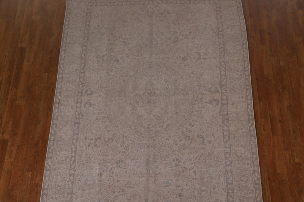 Distressed Muted Persian Area Rug 6x9