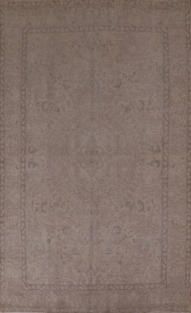 Distressed Muted Persian Area Rug 6x9