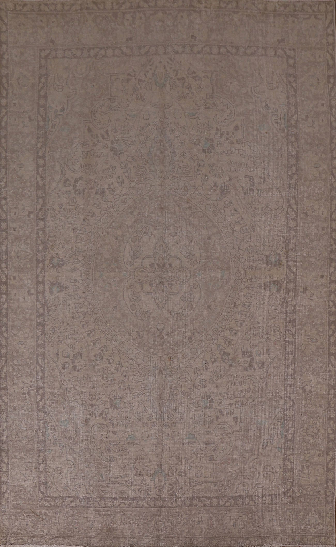 Distressed Muted Persian Area Rug 6x9