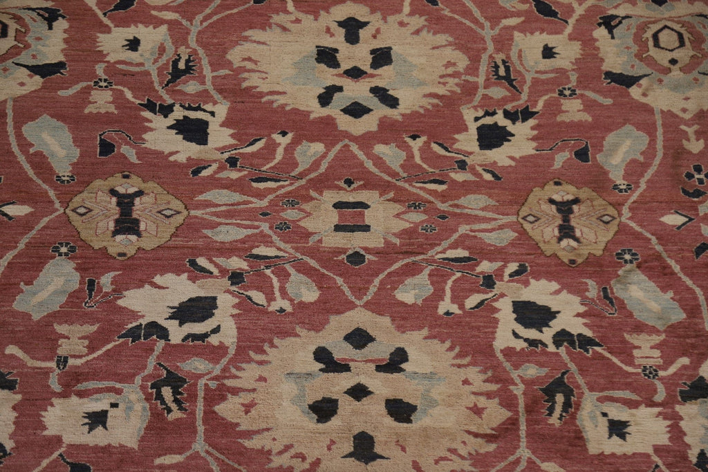 Vegetable Dye Ziegler Oriental Large Rug 12x18