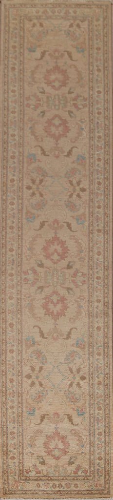 Floral Chobi-Peshawar Oriental Runner Rug 3x7