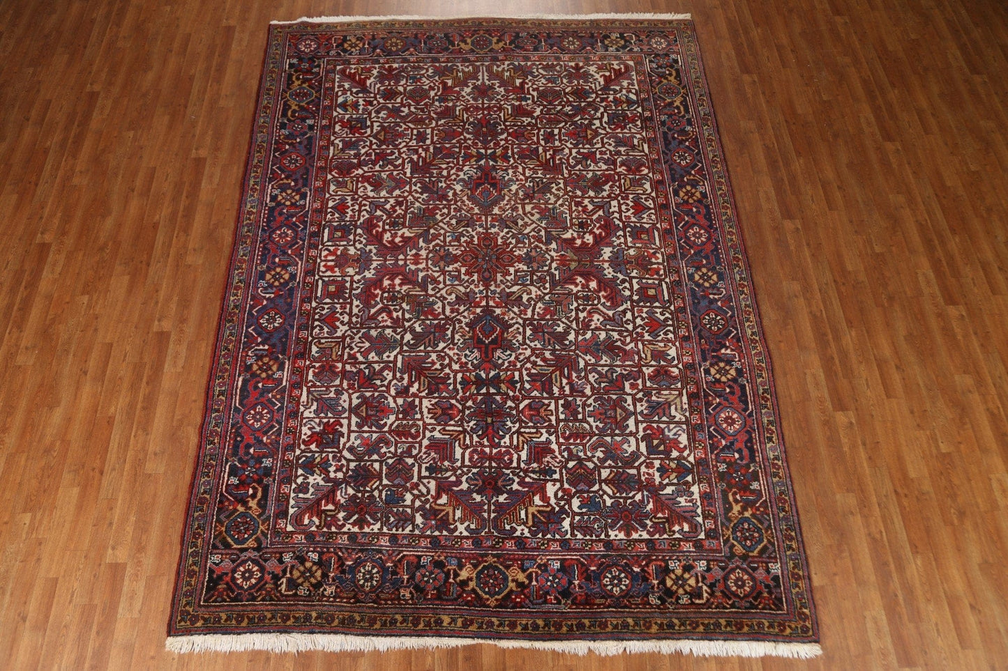 Vintage Heriz Persian Area Rug 8x11