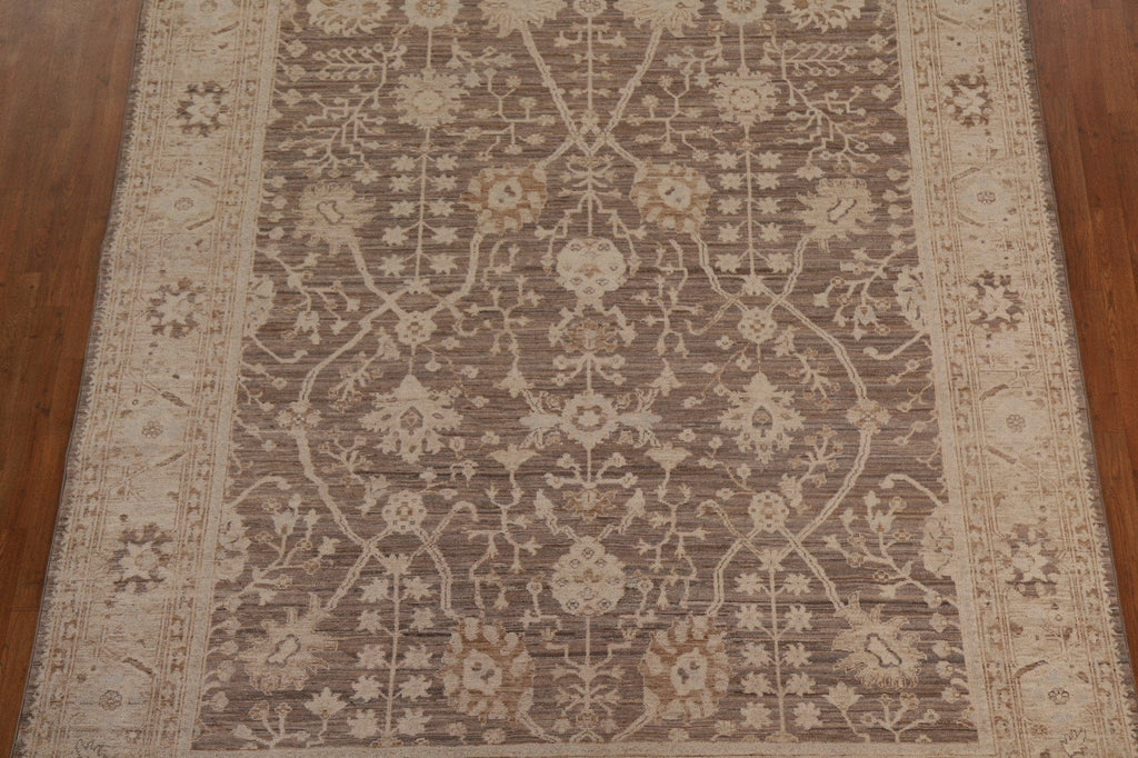 Oushak Vegetable Dye Area Rug 8x10