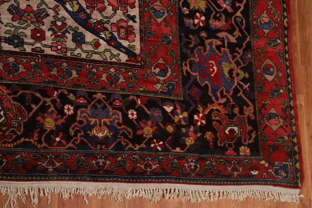 Pre-1900 Antique Bakhtiari Vegetable Dye Persian Rug 16x18