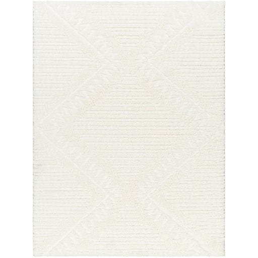 Nomadic NMC-2304 Rug