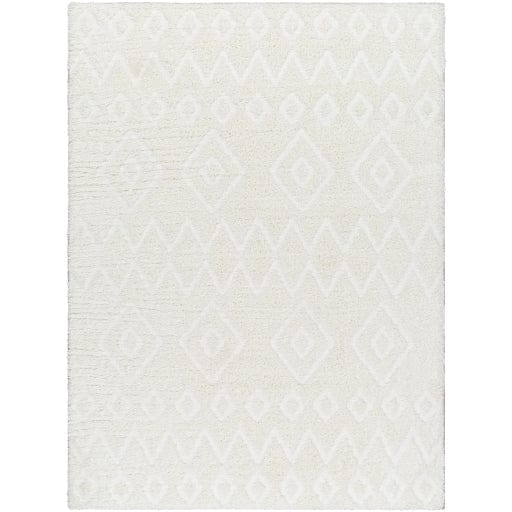 Nomadic NMC-2306 Rug