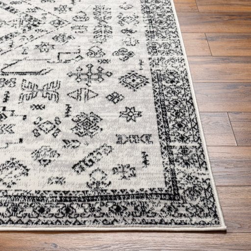 Pisa PSS-2366 Rug