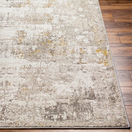 Roswell RSW-2304 Rug