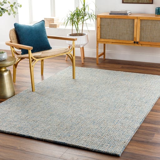 Aiden AEN-1001 Rug