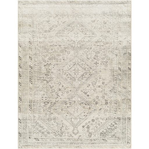 Amelie AML-2379 Rug