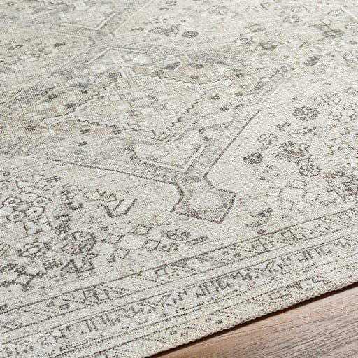 Amelie AML-2379 Rug