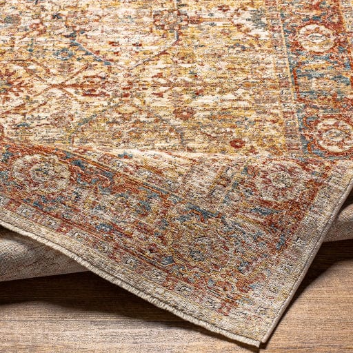 Aspendos APS-2317 Rug