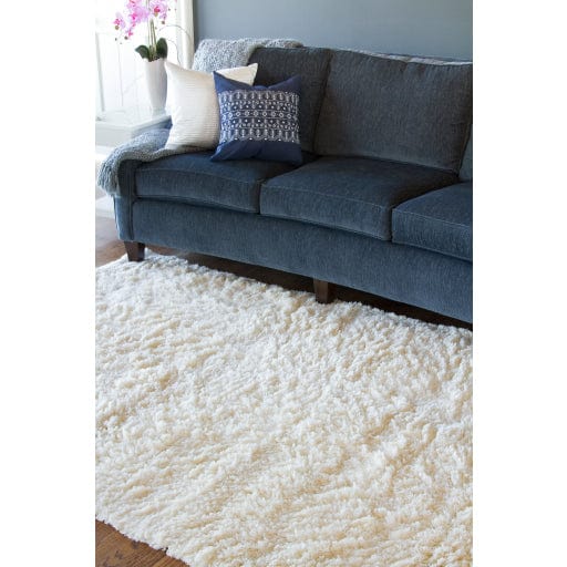 Ashton ASH-1300 Rug