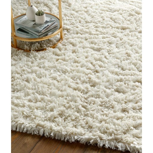 Ashton ASH-1300 Rug