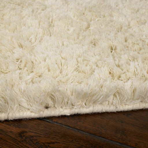 Ashton ASH-1300 Rug