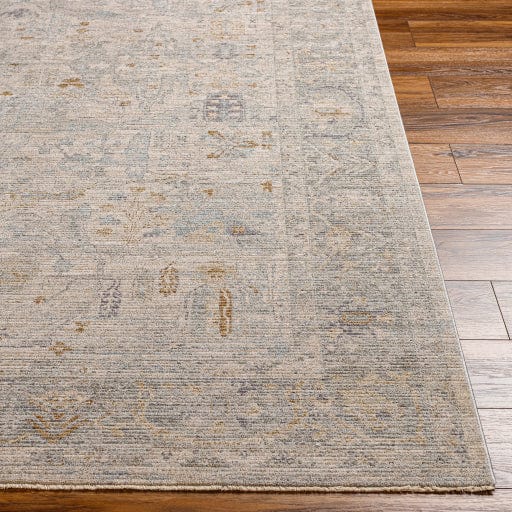 Avant Garde AVT-2348 Rug