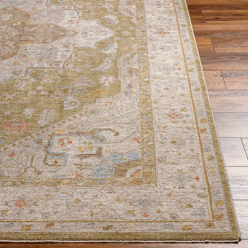 Avant Garde AVT-2363 Rug