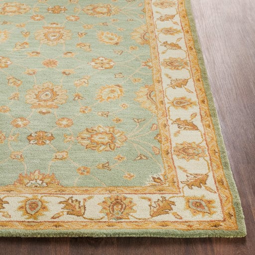 Middleton AWHR-2058 Rug